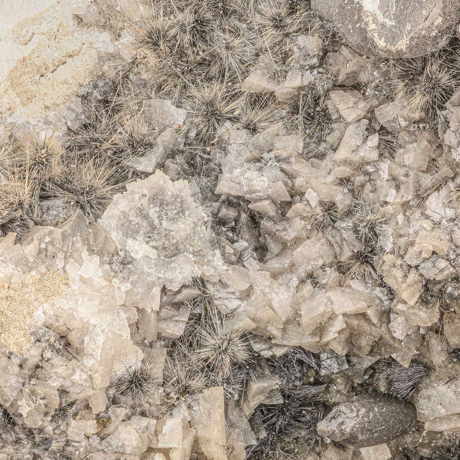 WendelMinerals Item 2972 MilleriteWallace Quarry Bay Port